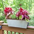 thumbnail image 3 of Southern Patio Jardinière de Jardin à Rail de Terrasse Westlake de 24 Pouces, Galvanisée Rustique, 3 of 7
