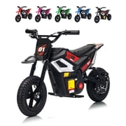 Electric Dirt Bike for Teens, 12" Fat Tire 350W Electric Motorcycle with 24V Battery, 14MPH Top Speed, 130 LBS Max Load, Mini Dirtbike for Kids, Mountain Off-Road Bike Fit Age 10+