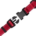 thumbnail image 4 of One Paw, Collier à sangle pour chiens, plusieurs couleurs et tailles disponibles, 4 of 5