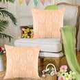 thumbnail image 1 of Tyidzon 17.72 Inches One Sided Pattern Pillow Cover Cushion Cover Sofa Living Room Decorative Pillow Cover Decorations Suitable For Sofa And Bedroom Home Decor Throw Pillow Covers, 1 of 6