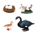thumbnail image 2 of 1 Set Spade Worm Model Premium Plastic Material Meaningful Insect Figurines Early Educational Growing Models for School Project black swan, 2 of 6