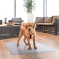 thumbnail image 2 of Vibrant Life Dog Pee Pads and Puppy Training Pads, XL (66*76cm), 2 of 5
