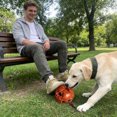 thumbnail image 4 of TIELUTT Training Chew for Puppies and Large Red Sturdy Interactive Training Dog Large Breed Rope Interactive Dog Puppy Puppy Bulk Crinkle Dog for Aggressive Chewers Large Breed Small Doggy, 4 of 6