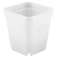 thumbnail image 2 of Pots de Plantes Succulentes Pots Scrubsquare, 20pcs Mini Pot de Fleurs Succulent Moderne Jardinière Installation Sans Effort, 2 of 8