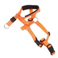 thumbnail image 3 of Dog Head Harness, Dog Head Collar Adjustable Strap Breathable Practical  For Camping Orange,Blue,Red, 3 of 8