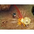 thumbnail image 2 of Dragon Ball: Origins 2 - Nintendo DS, 2 of 4