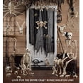 thumbnail image 1 of Crazy Bonez Perroquet Squelette Perché, 1 of 2