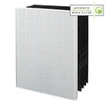 thumbnail image 1 of Winix 113250 Size 25 Replacement HEPA Filter Set for P450 Air Cleaner, 1 of 5