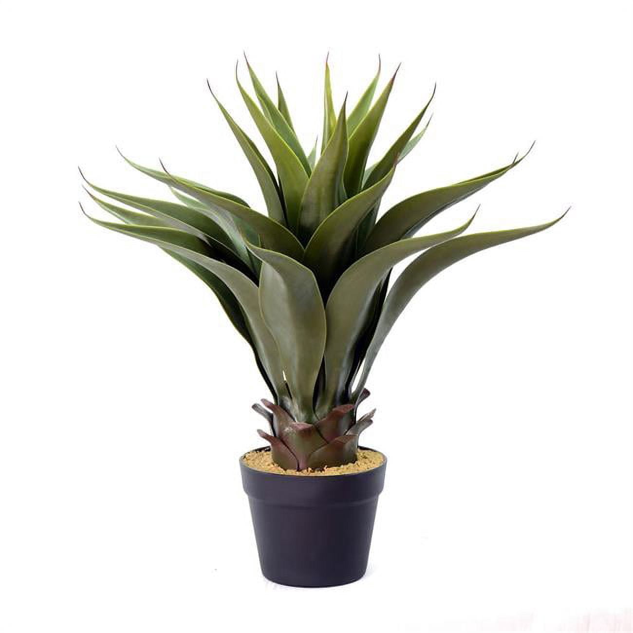 Vickerman FO182101 Pot d'Aloès Vert de 22 Po