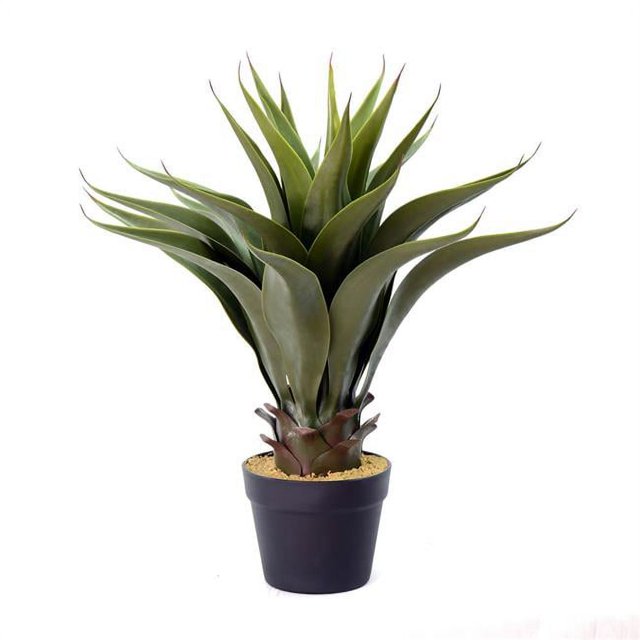 Vickerman FO182101 Pot d'Aloès Vert de 22 Po