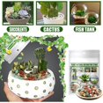 thumbnail image 1 of Assorted Stone Flower Pot Fish Tank Decoration Colorful Stone Plant Flower Pot Decorative Stone Succulent Paving Stone, 1 of 6