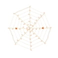 thumbnail image 1 of Orange LED Web Lights w/ 2 Spiders - 5 Ft, 1 of 4