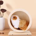 thumbnail image 2 of Roue d'Exercice Silencieuse pour Hamster, Roue d'Exercice Robuste et Écologique pour Exercice en Animaux, 2 of 8
