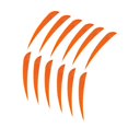 thumbnail image 1 of ZheElen 12pcs 3inch Archery Turkey Feathers Fletchings Vanes Orange 3 Inch 1Set, 1 of 6