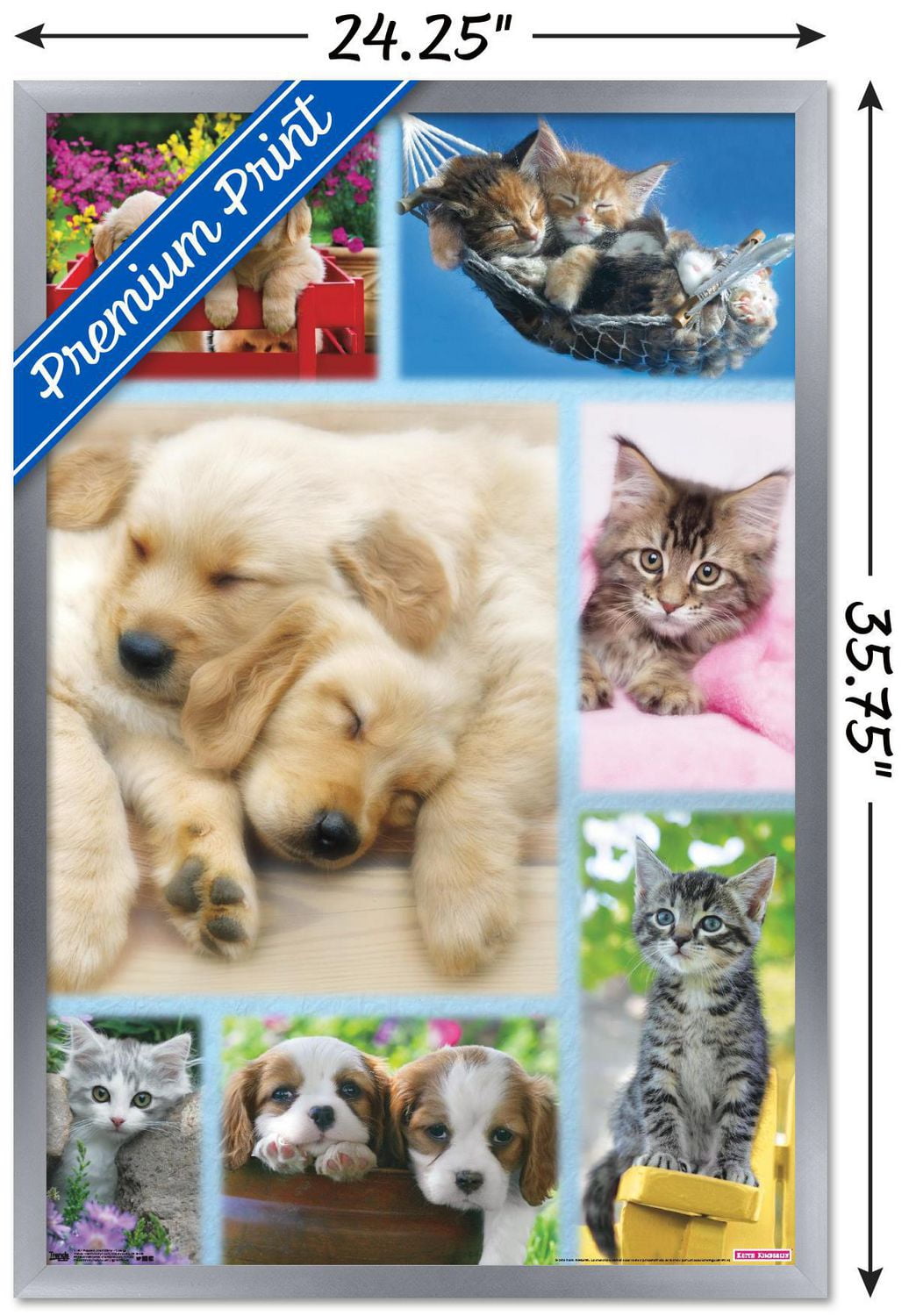 Keith Kimberlin - Puppies and Kittens Collage Wall Poster