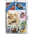 thumbnail image 2 of Keith Kimberlin - Collage de chiots et de chatons, 2 of 4