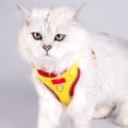 thumbnail image 2 of Sentmoon Cats Harness and Leash Cats Harness Dog And Cats Leash Sleeveless Style Pet Reflective Breathable Leash Suitable For Outdoor Cats And Dog Walking Leash, 2 of 7
