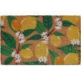 thumbnail image 1 of Mainstays Coir Doormat 18X30in, 1 of 5