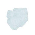 thumbnail image 1 of Teri Lingerie Plain Jane Full Cut Nylon Brief 4-Pack 331, 1 of 4