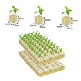 thumbnail image 3 of MYG Flower Soilless Culture Substrate hydroponic Wool Block Grodan Rockwool Cubes, 3 of 5