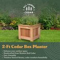 thumbnail image 2 of All Things Cedar 2 Ft Box Planter, Elevated Outdoor Garden Bed, Natural, 2 of 7
