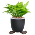 View all media