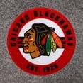thumbnail image 5 of NHL, NBA, MLB Grey Sports Throw Blanket, 50" x 60", 5 of 5
