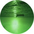 thumbnail image 1 of Ahgly Company Tapis d'Intérieur Lavable en Machine Carré Transitionnel Vert Foncé, 3 Pieds Carré, 1 of 7