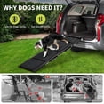 thumbnail image 3 of BeesClover Foldable Dog Ramp for Cars & Trucks | Quad-Fold Non-Slip Pet Ramp | Portable SUV Ramp for Large Dogs & Seniors | Safe Easy Access Heavy-Duty Travel Solution, 3 of 7