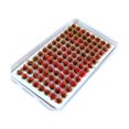 thumbnail image 1 of jifeng Artificial DIY Miniature Flower Cluster Grass Tufts Diorama Layout Scenery Model Red, 1 of 9