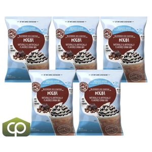 Big Train 3.5 lb. Mélange de café à glace mélangée de mocha de sucre réduit – Prime "Lite" 3-in-1 Frappe & Latte Base, 17.5 Lb. (5/Case En vrac)