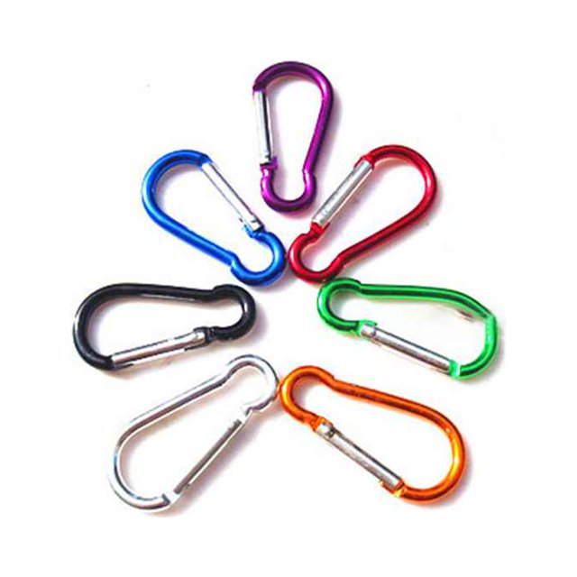 AMERTEER 5 Pcs Mousqueton en Aluminium Clip Anneau en D Crochet à Pression Porte-Clés Randonnée