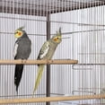 thumbnail image 2 of Prevue Blush Flight Bird Cage, 2 of 6