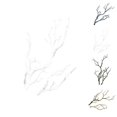 thumbnail image 2 of Baohd 3pcs Large Wedding Decoration Branch Simulation Plant Large Large Wedding Wedding Plastic Dried Tree Branches Artificial Fake Foliage Plant, 2 of 9
