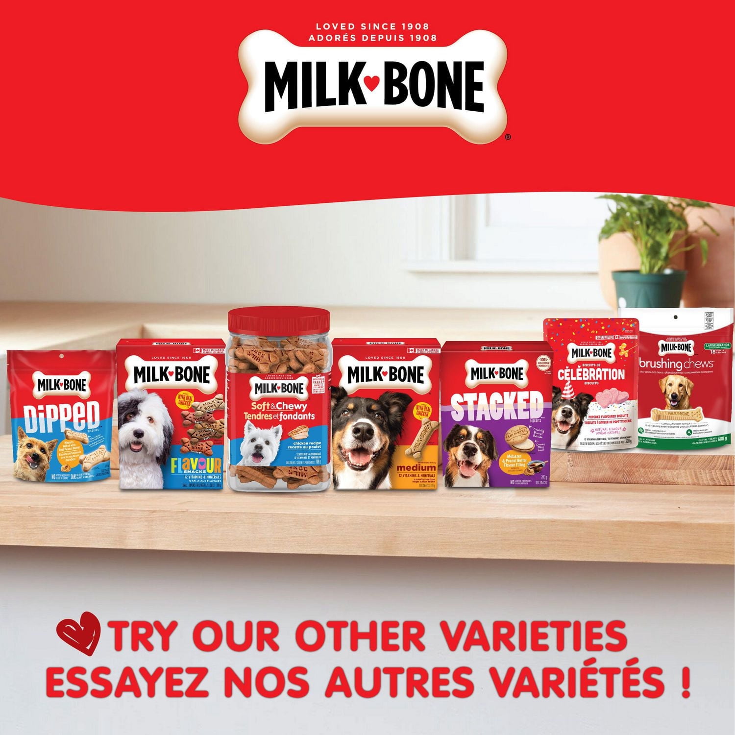 Milk-Bone biscuits moyens originaux