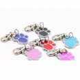 thumbnail image 3 of ZLight Étiquettes pour Animaux Gravées Chien Chat Disque Rond Collier en Acier Inoxydable Étiquette Animaux ID Vert, 3 of 6
