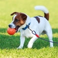 thumbnail image 2 of Durable Double Hook Steel Wire Dog Leash For Small Medium Dogs Heavy Duty Chew Pet Tether Outdoor Training With For Secure Walking And Control, 2 of 2