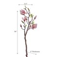 thumbnail image 2 of Magnolia Grand Spray Vieux Rose, 2 of 3