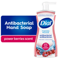 thumbnail image 1 of Dial Antibacterial Foaming Hand Wash, Power Berries, 221ml, 1 of 9