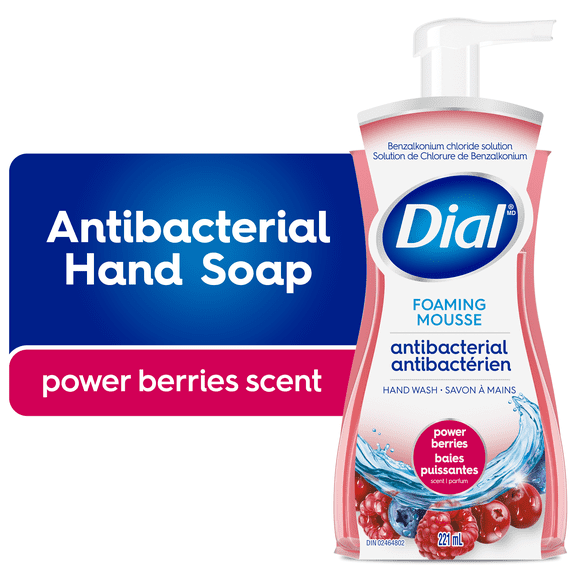 Dial savon à mains moussant antibactérial, baies puissantes, 221 ml