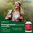 thumbnail image 2 of 50:1 Concentrated Pomegranate 500mg 120caps, 2 of 4