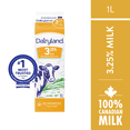 thumbnail image 1 of Dairyland 3.25% Milk, 1 of 7