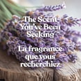thumbnail image 3 of Bougie en pot parfumée Yankee Candle, collection Studio, 3 of 6
