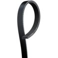 thumbnail image 1 of Ceinture en Serpentin Stretch 4K355SF par ACDELCO PROFESSIONAL CANADA, 1 of 2
