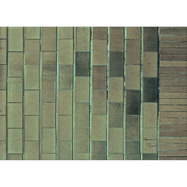 Ahgly Company Machine Washable Indoor Rectangle Transitional Dollar Bill Green Area Rugs, 8' x 10'