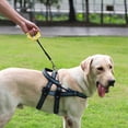 thumbnail image 3 of LED Dog Leash with Waste Bag Dispenser Retractable Reflective Outdoor Walking Leash for Night Visibility Durable ABS Material, 3 of 4