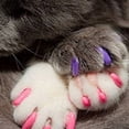 thumbnail image 4 of 20Pcs Pet Cats Kitten Anti-scratch Grooming Nail Paws Claw Cap Cover Protector, 4 of 8