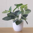 thumbnail image 3 of serony Artificial Potted Plant Leaf Simulation Leaves Home Office Desktop Greenery Decoration, Plant Type 14, 3 of 6