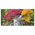 thumbnail image 2 of Érable Japonais - Art Floral pour Photographie, 2 of 3