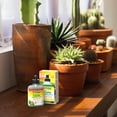 thumbnail image 4 of Engrais liquide pour cactus Schultz® 2-7-7, 4 of 4